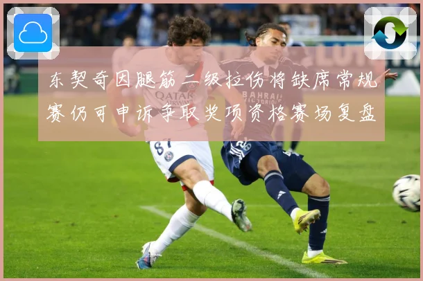 东契奇因腿筋二级拉伤将缺席常规赛仍可申诉争取奖项资格赛场复盘：最新赛事动态与深度分析